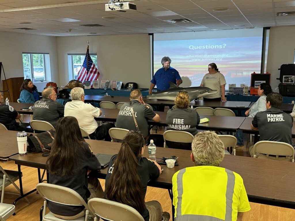 Marine mammal and sea turtle training in Southampton